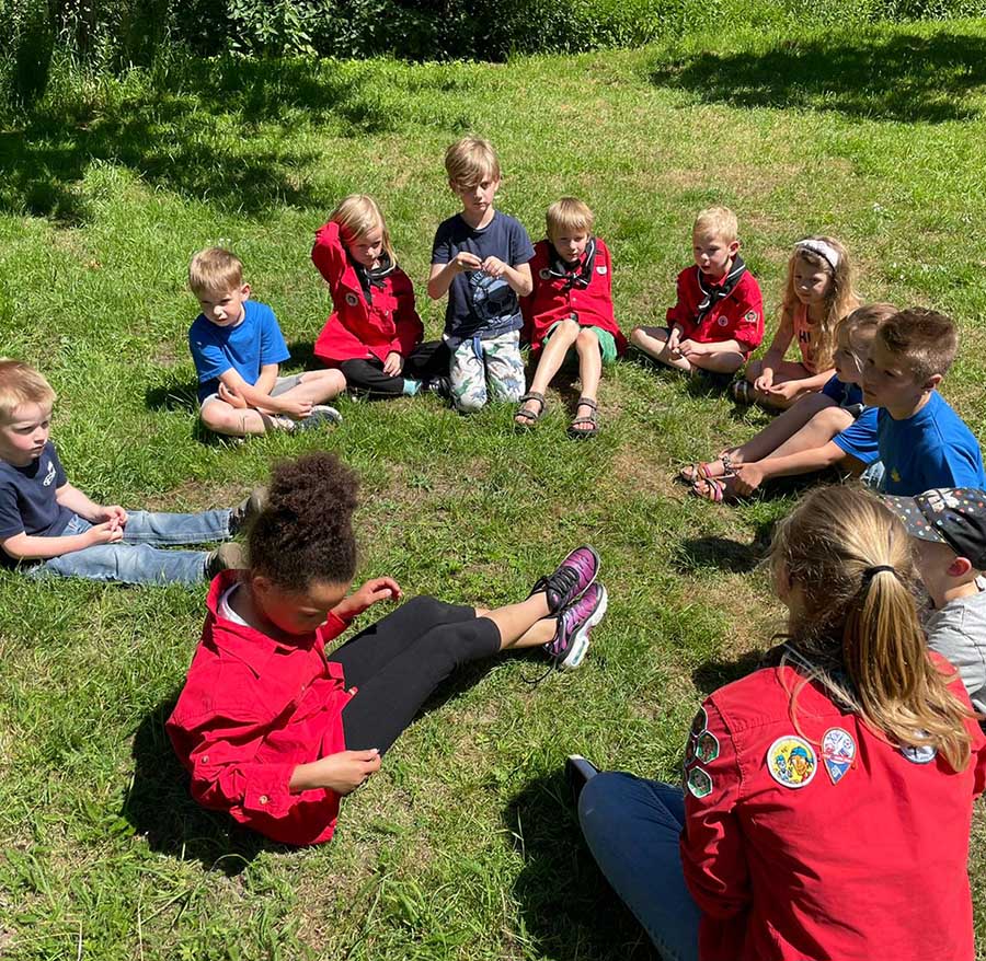 De bevers van de Huppelveldkolonie